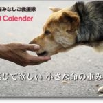 00calendar_2020