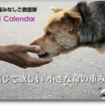 00calendar_2021