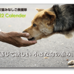 00calendar_2022_a4