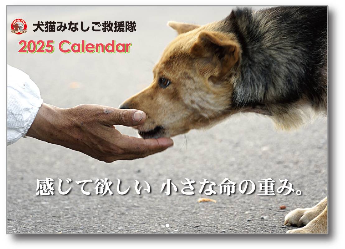 00calendar_2025