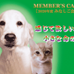 minashigo_kaiin_2020