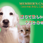 minashigo_kaiin_2021