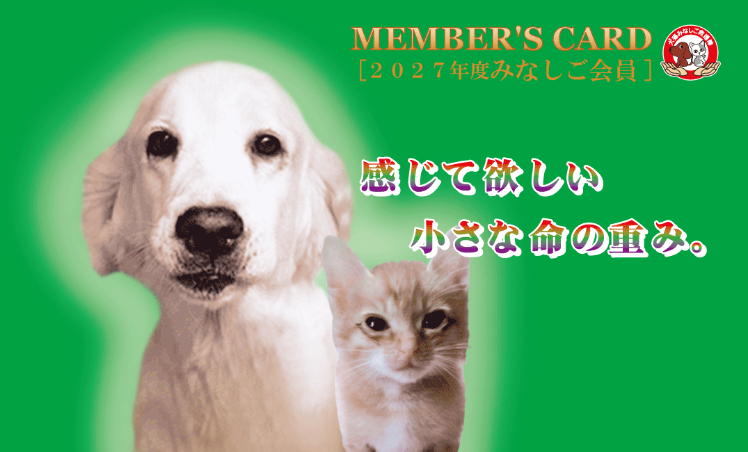 minashigo_kaiin_2027