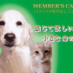 minashigo_kaiin_2026