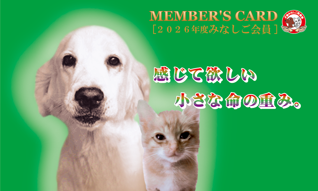 minashigo_kaiin_2026