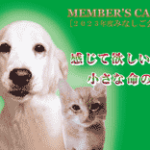 minashigo_kaiin_2023