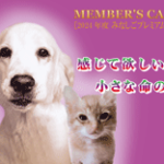 ２０２４年度賛助会員 プレミアム会員